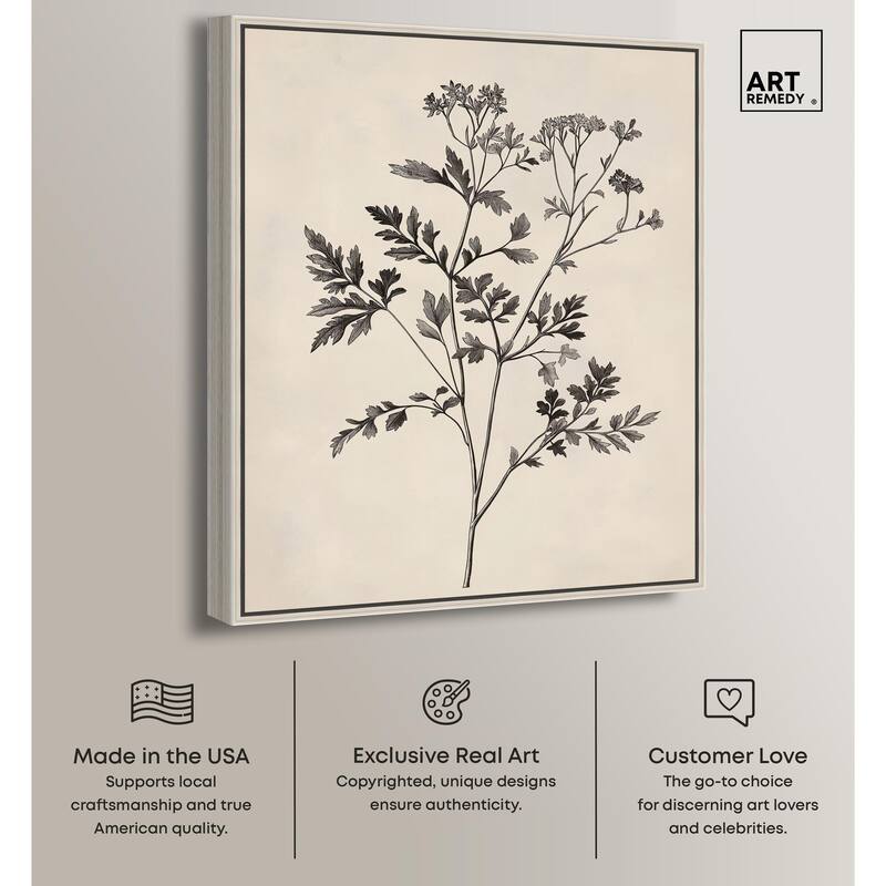 Aniseed Anatomy I Canvas by Art Remedy