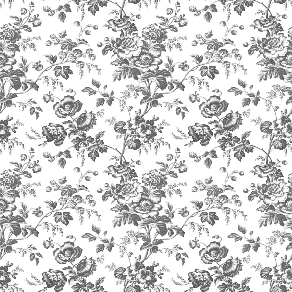 York Wallcoverings Anemone Toile Black Wallpaper