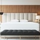 preview thumbnail 1 of 3, AllergyCare 100% Cotton Breathable Mattress Protector, Zippered Encasement, Blocks Dust Mites, Pollen and Pet Dander