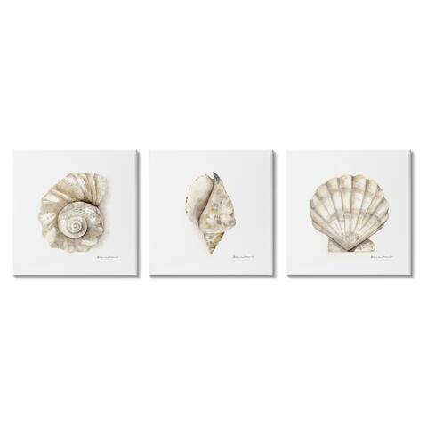 Stupell Industries Soft White Patterned Seashells Nautical Natural Neutrals 3pc Multi Piece Canvas Wall Art Set, 17 x 17