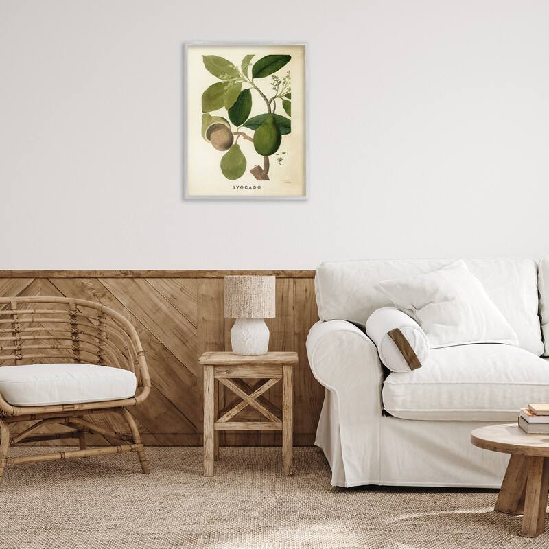 Stupell Vintage Avocado Plant Framed Giclee Art Design By Lil' Rue