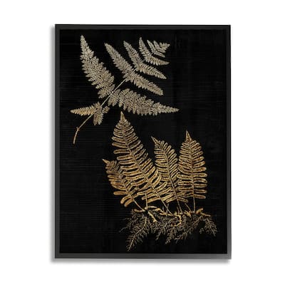Stupell Fern Plant Illustration Bold Vintage Forest Botanical Framed Wall Art