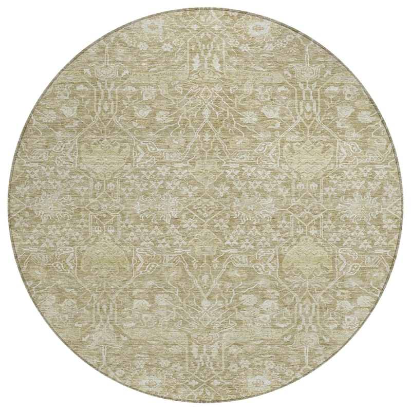 Machine Washable Indoor/ Outdoor Vintage Boho Chantille Rug