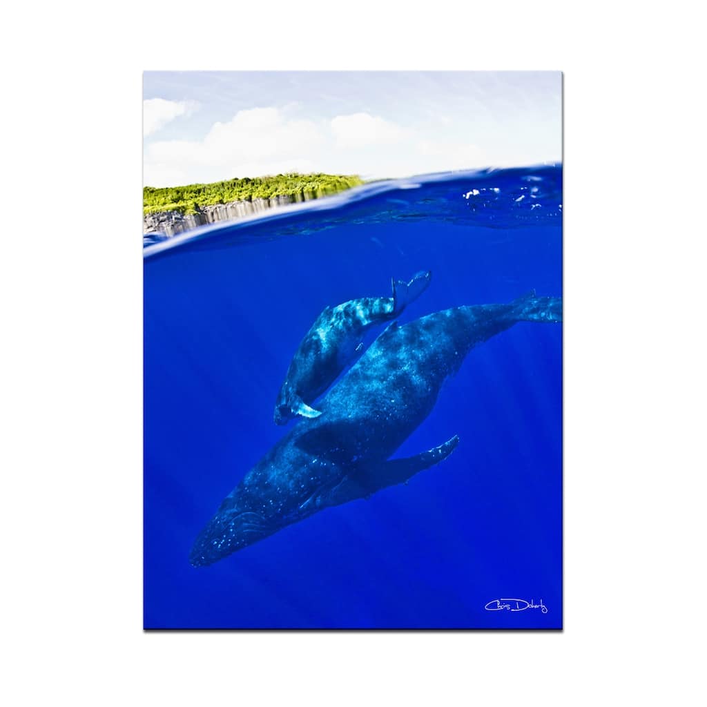 Ready2HangArt 'Whales' Wrapped Canvas Wall Art