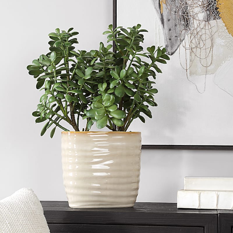 Jade Crassula Artificial plant with Ceramic Pot - 23.5" - Green and Beige