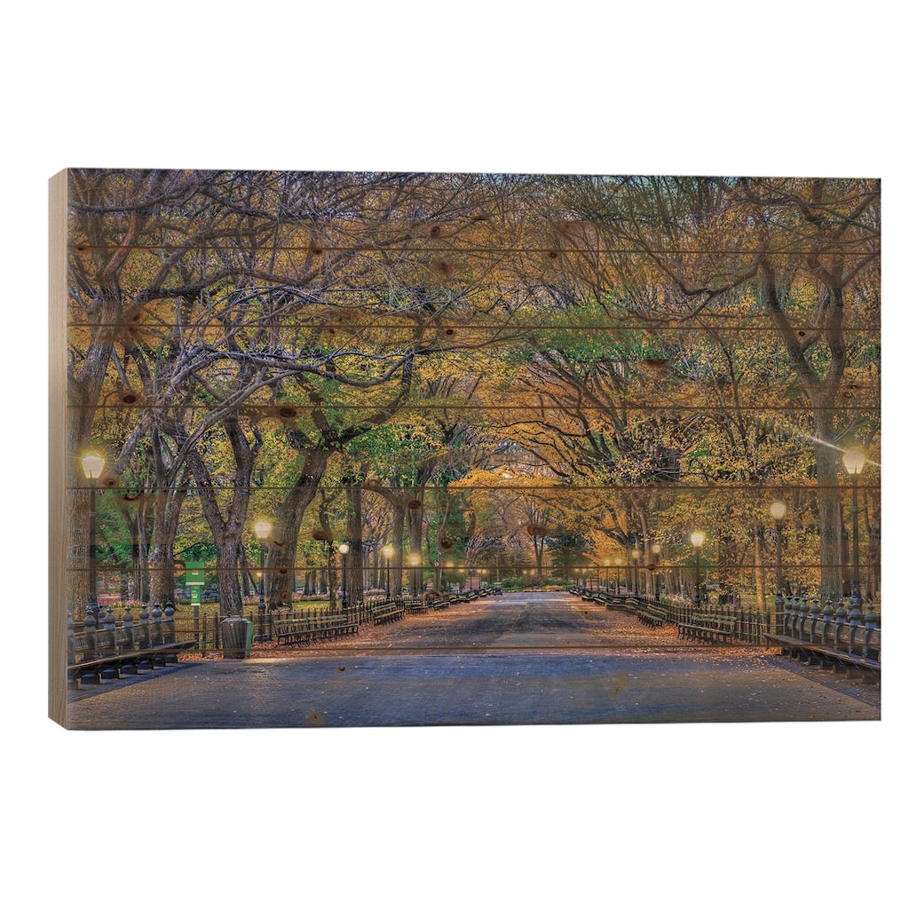 Central Park Night Print On Wood by David Gardiner - Multi-Color