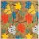 Option Brown/Multi