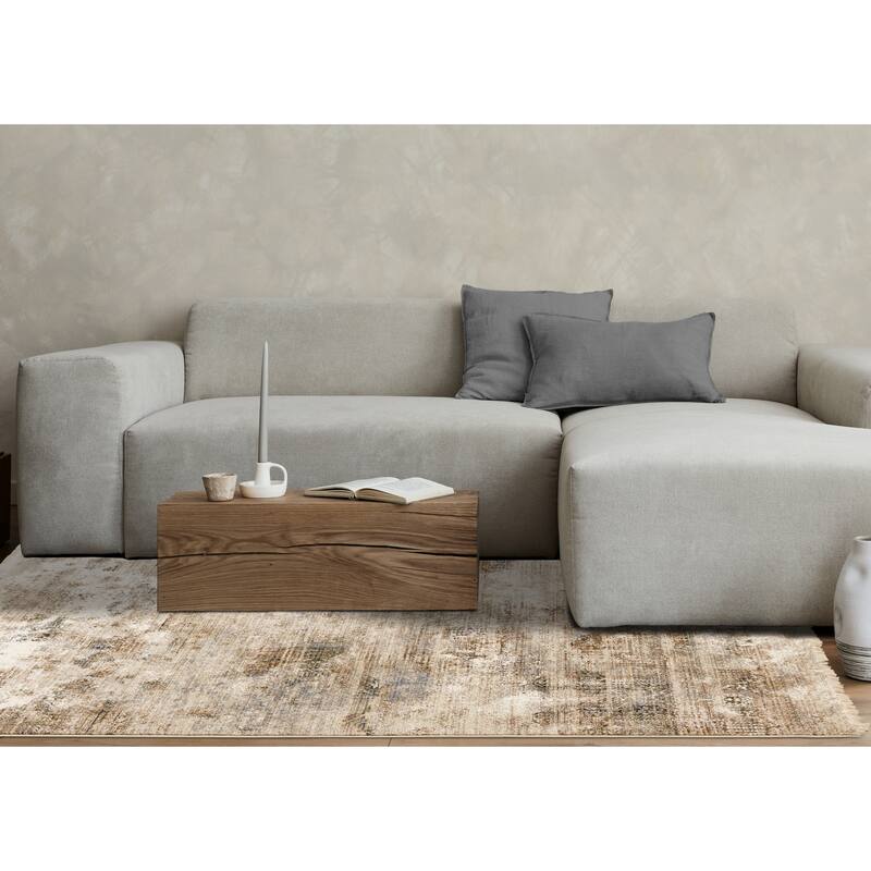 Sydney Collection - Beige Grey Cream Distressed Area Rug