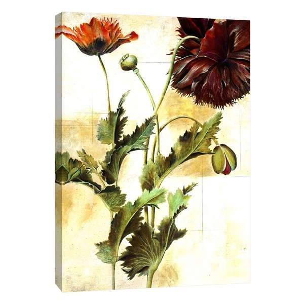 PTM Images 9-105265 PTM Canvas Collection 10" x 8" - "Poet Florals" Giclee Daisies Art Print on Canvas
