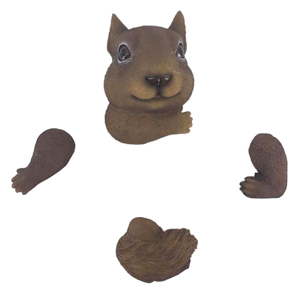 Squirrel In The Tree