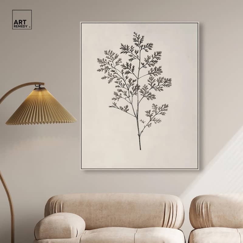 Aniseed Anatomy II Canvas Delicate Floral by Art Remedy