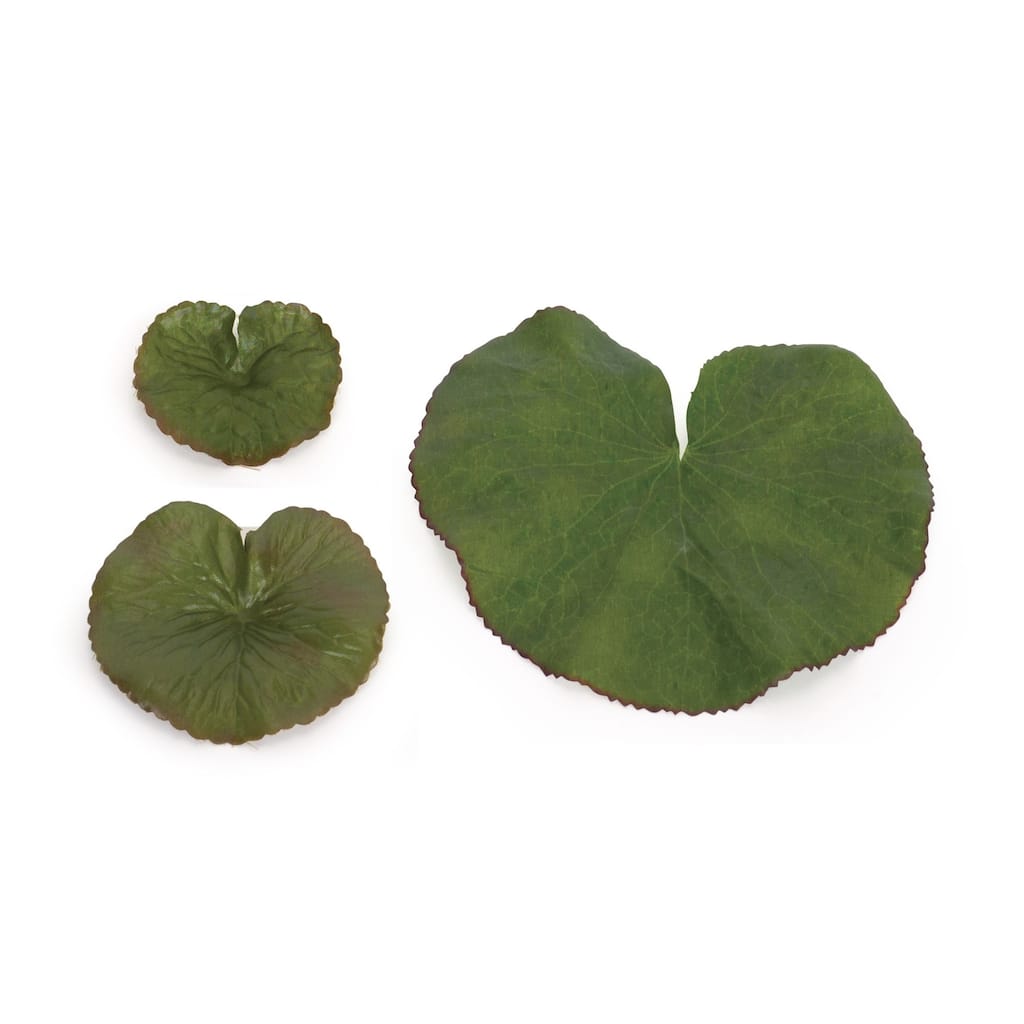Curved Edge Artificial Leaves - 9"- Club Pack of 12