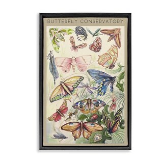 Stupell Butterfly Conservatory Insects Framed Floater Canvas Wall Art ...