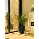 preview thumbnail 20 of 59, Kante 18 Inch Dia Round Concrete Planter, Indoor Outdoor Large Plant Pot