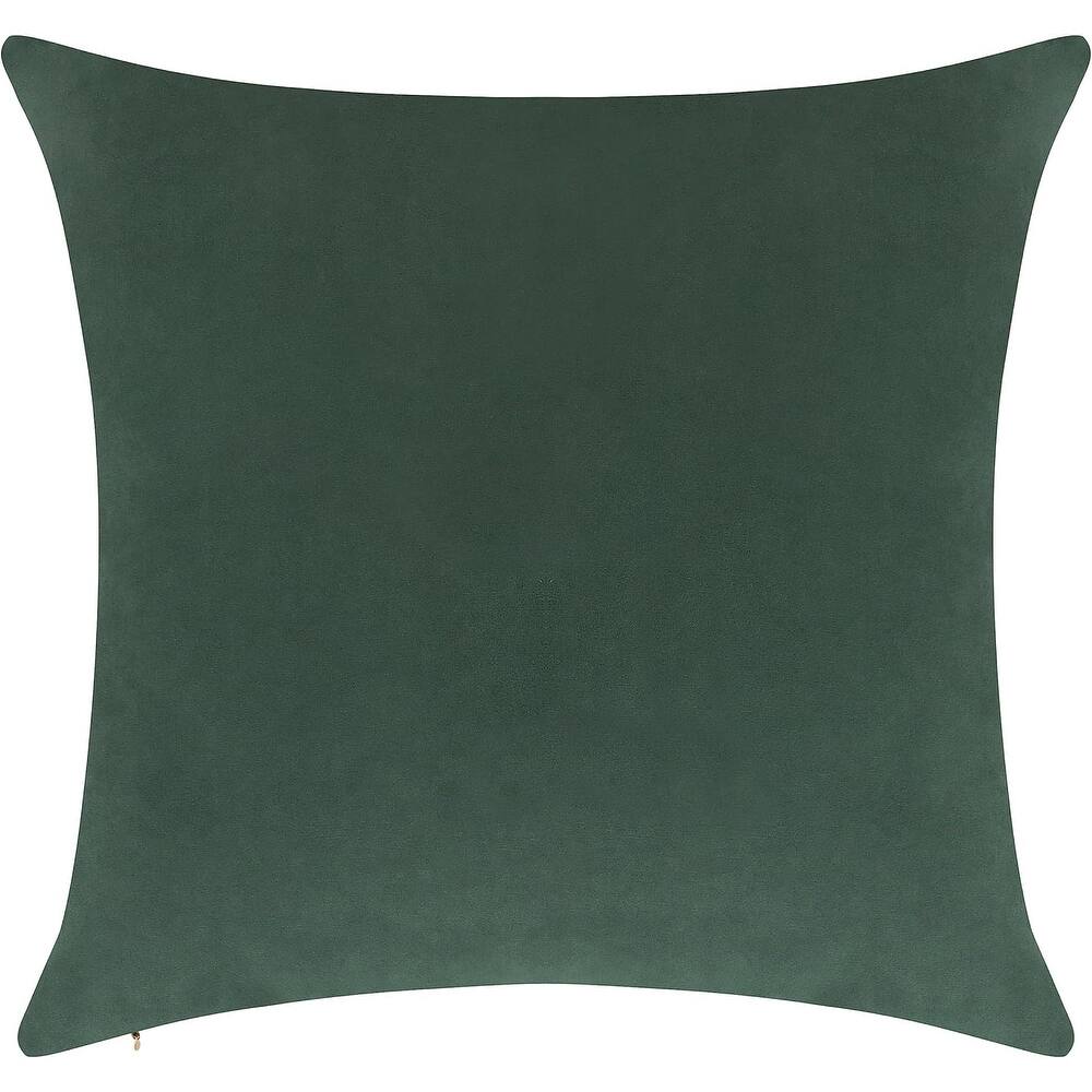 Delara Pack of 1 Velvet Decorative Throw Pillow Cover 20x20 Inches, Cushion Cover, Soft and Breathable Fabric, Hidden Zipper