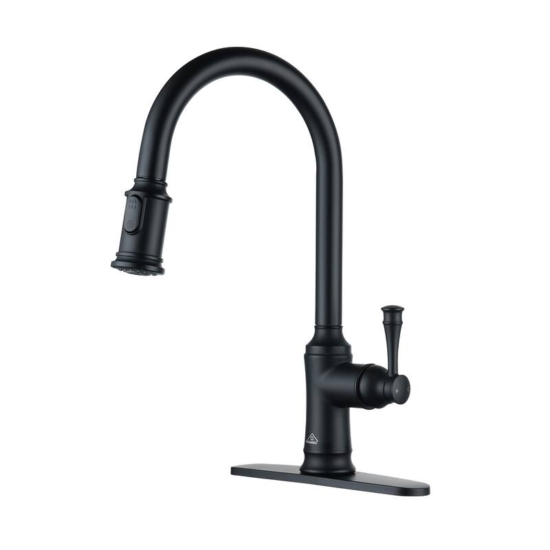 Single Handle Pull Out Sprayer Kitchen Faucet