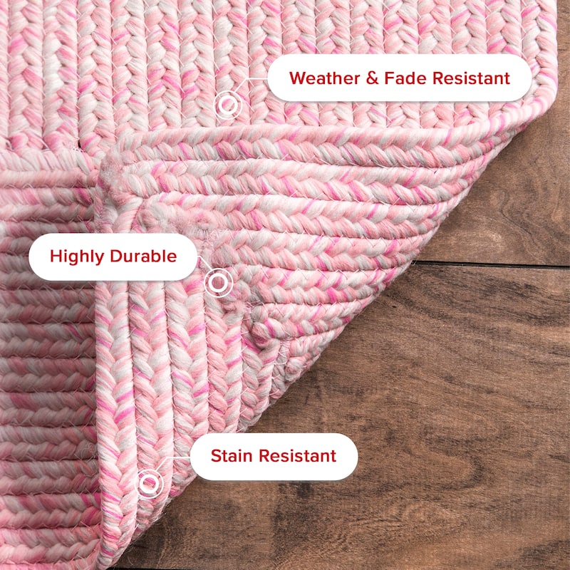Nuloom Wynn Braided Indoor/Outdoor Area Rug
