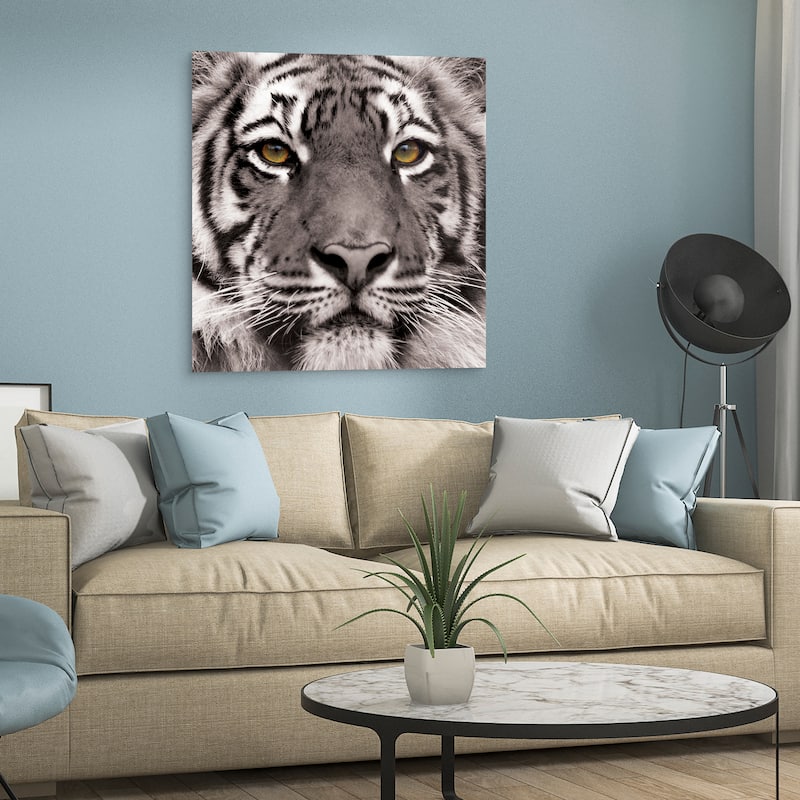 "Eye of the Tiger" Frameless Free Floating Tempered Glass Panel Graphic Wall Art