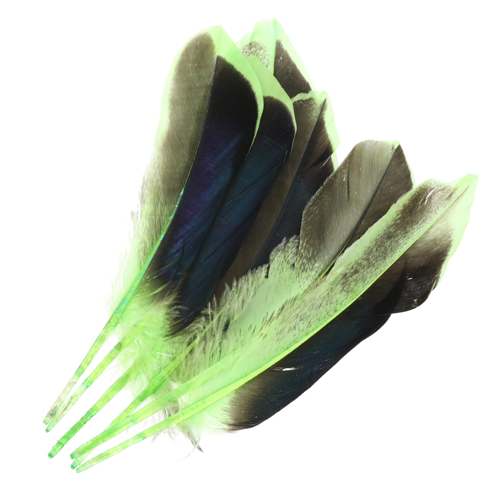 4-6 inch Natural Feathers 150 Pack Bulk Feathers for Crafts Style 1, Green