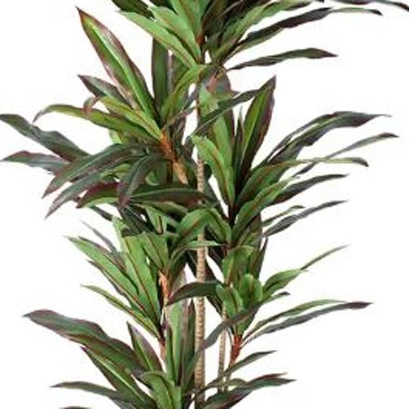 HomeRoots 71" Green Artificial Dracaena Tree in a Black Pot - 6.69 in. x 70.87 in. x 6.69 in.