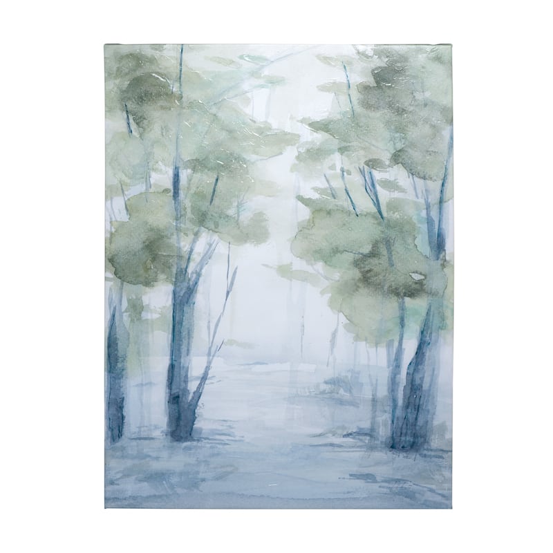 Forest Dew II (36 x 48) Canvas Art Print - Large