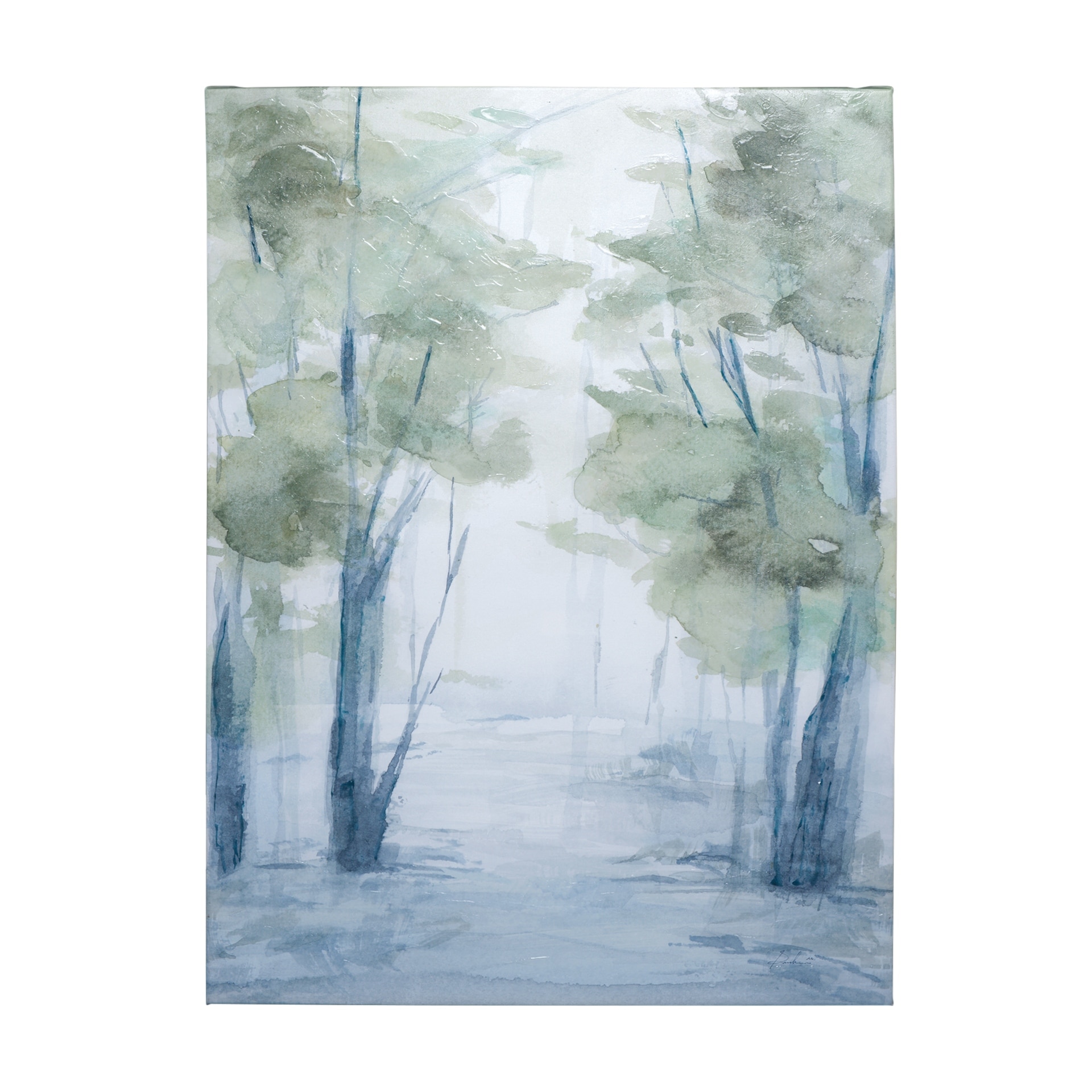 Forest Dew II (36 x 48) Canvas Art Print