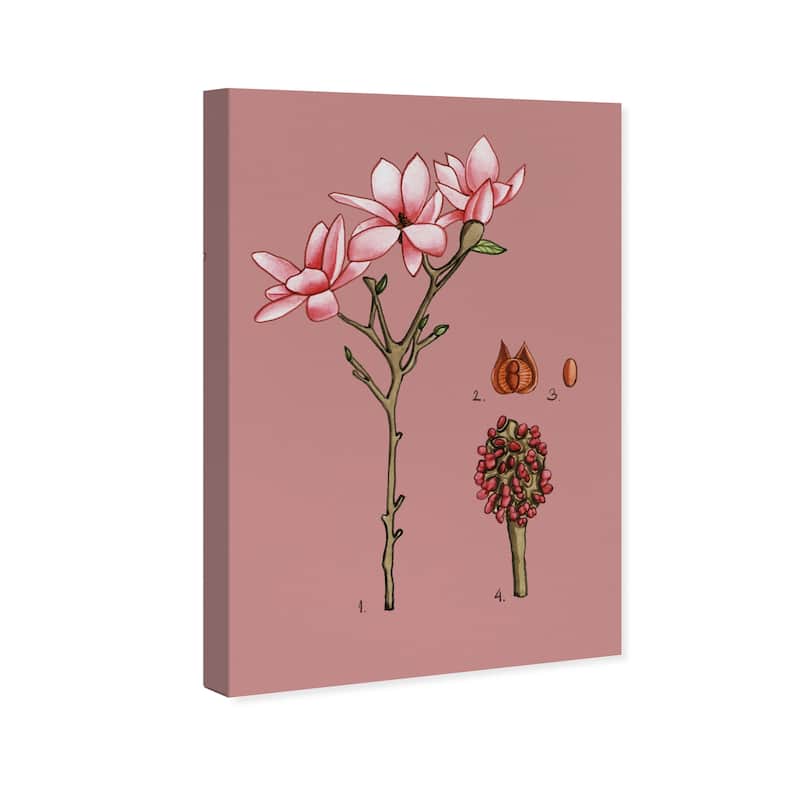 Wynwood Studio Canvas Floral and Botanical Pink Flower Fruit Pink and Rustic Wall Art Canvas Print
