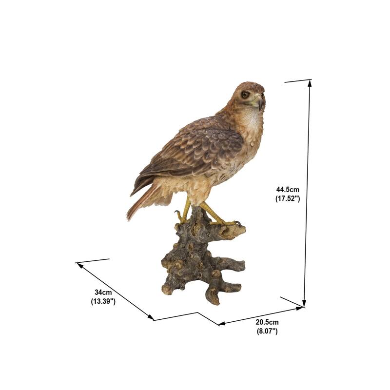 Wild Hawk on Branch Outdoor Garden Statue - 17.5" - Brown