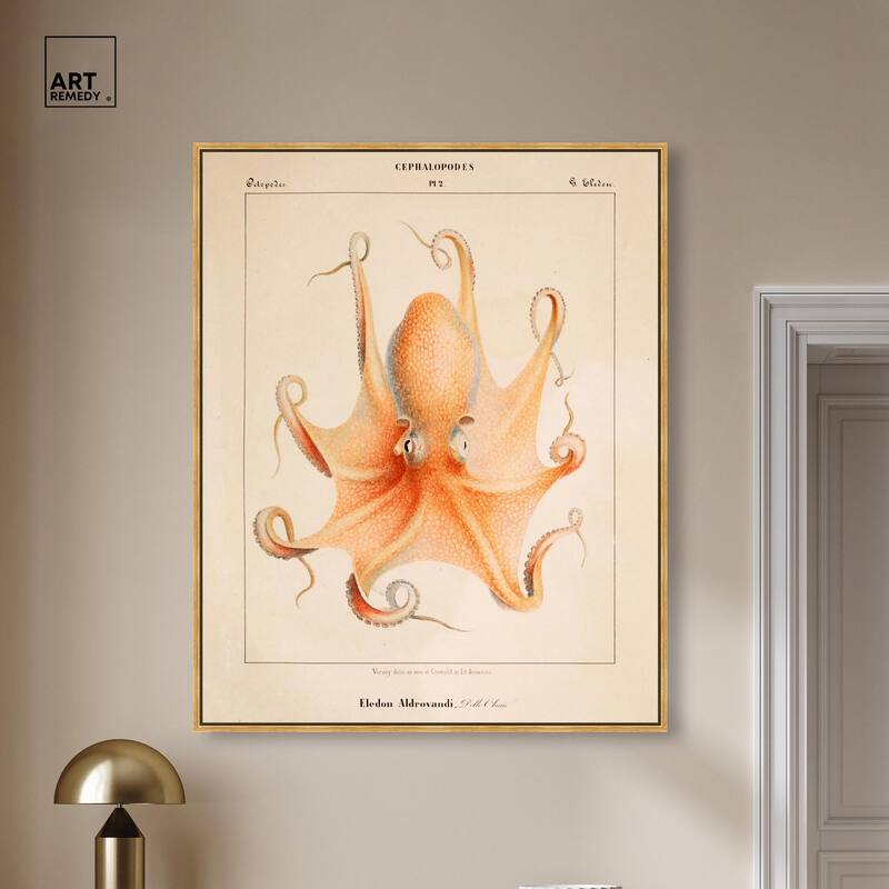 Verany The Octopus 1815 II Canvas by Art Remedy