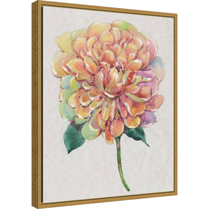 Multicolor Floral Peony I by Tim O'Toole (16 x 20 in.), Framed Canvas Wall Art Print - Sylvie Gold