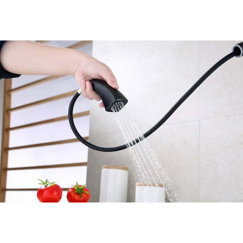 Ultra Faucets Quest Collection Single-Handle Kitchen Faucet With Pull-Down Spray