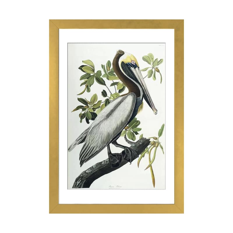 iCanvas "Brown Pelican, 1835 " by John James Audubon - Gold - 24x16x1