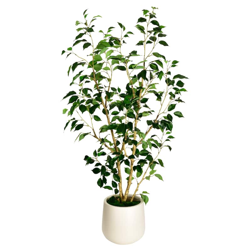 Artificial Ficus Tree in White Decor Pot - 25.5 in. W x 23.6 in. D x 61.5 in. H