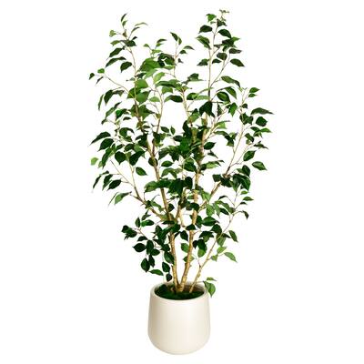 Artificial Ficus Tree in White Decor Pot