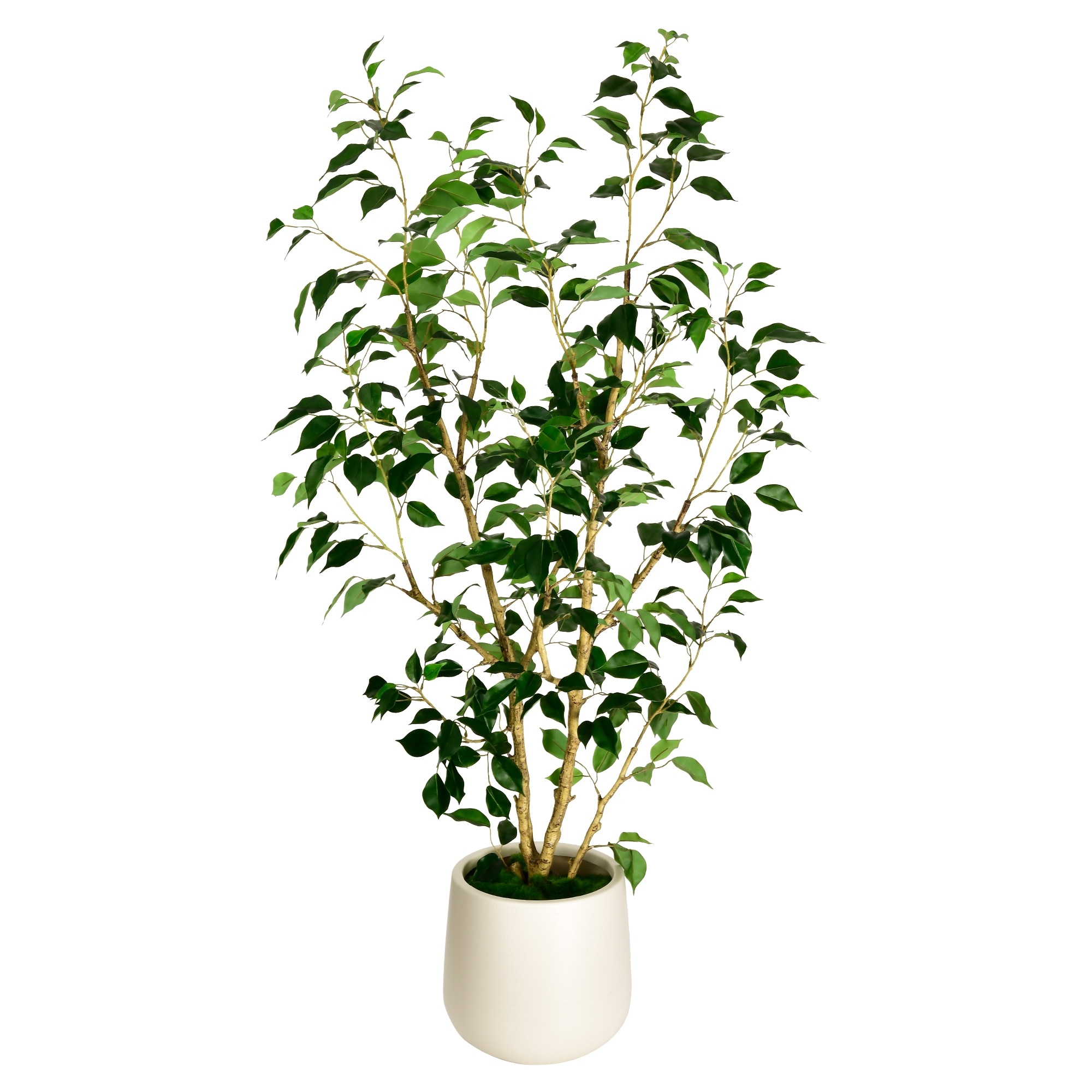 Artificial Ficus Tree in White Decor Pot