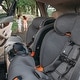 preview thumbnail 2 of 24, Chicco OneFit ClearTex All-In-One Car Seat