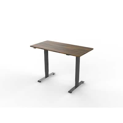 Carlos Modern 47-inch Metal Electric-Powered Adjustable Standing Desk by Furniture of America