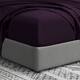 Option Eggplant