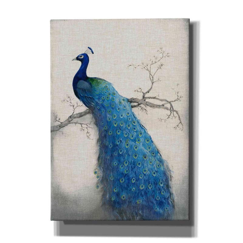 Epic Graffiti 'Peacock Blue II' by Tim O'Toole, Canvas Wall Art - 18x26