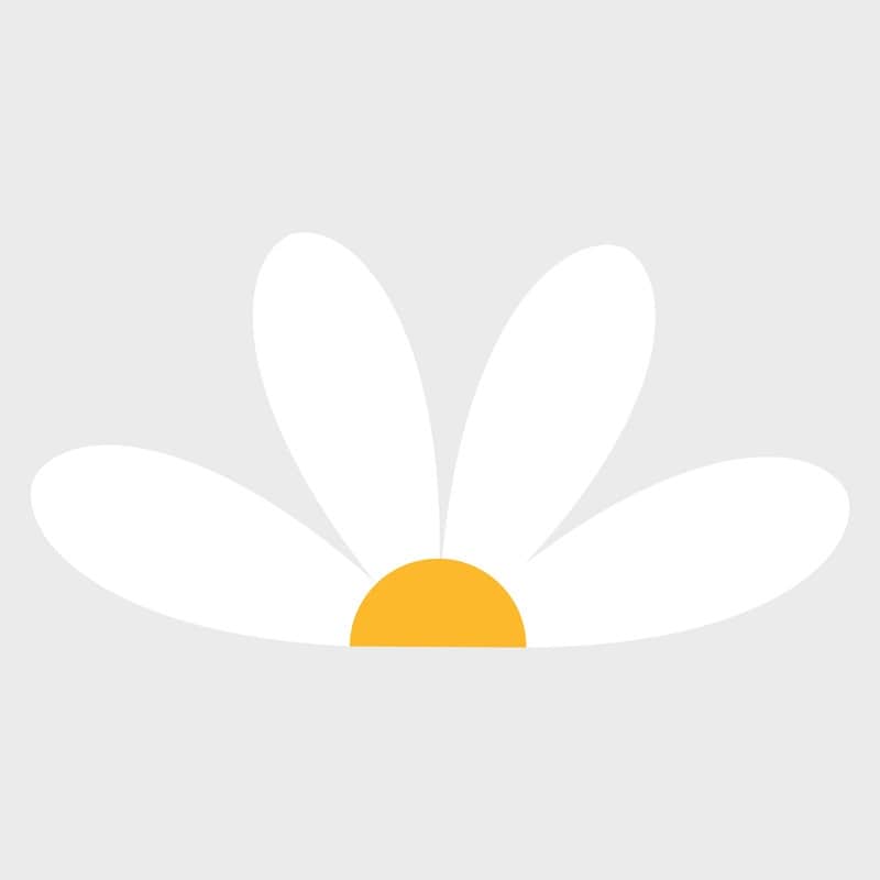 RoomMates Daisy Headboard XXL Peel And Stick Giant Wall Decals
