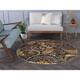 Alise Rugs Caprice Transitional Floral Area Rug