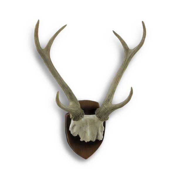 Shop Mounted Deer Antlers And Partial Skull Hanging Decorative