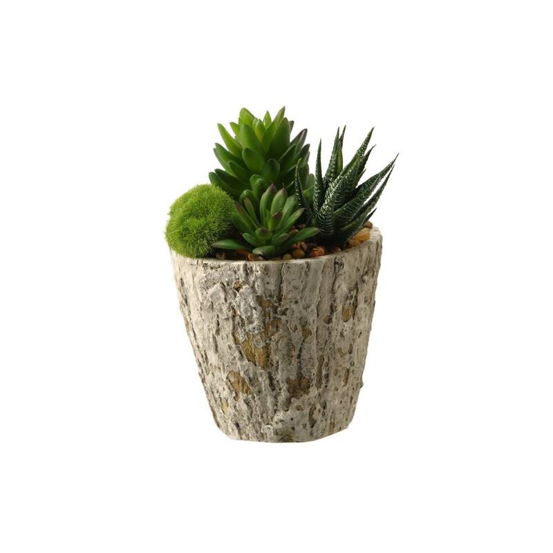 HomeStock Aloe and Succulents in Weathered Oak Look Cement Planter - Lush Faux Greens for Rustic Accents - 8