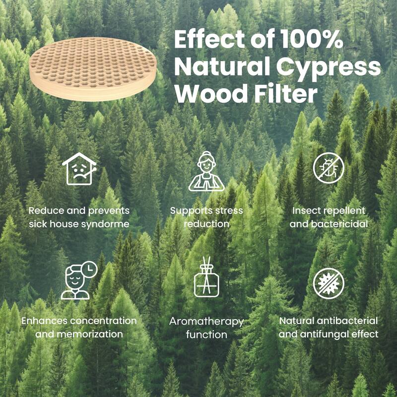 IMUNSEN Office or Bedroom Air Purifier with Cypress Wood Filter and Auto Sleep Mode