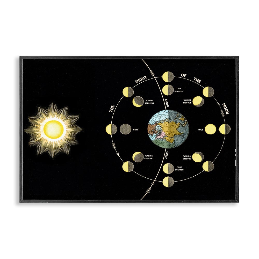 Stupell Moon's Orbit & Phases Framed Giclee Art Design By Phillipa Katz