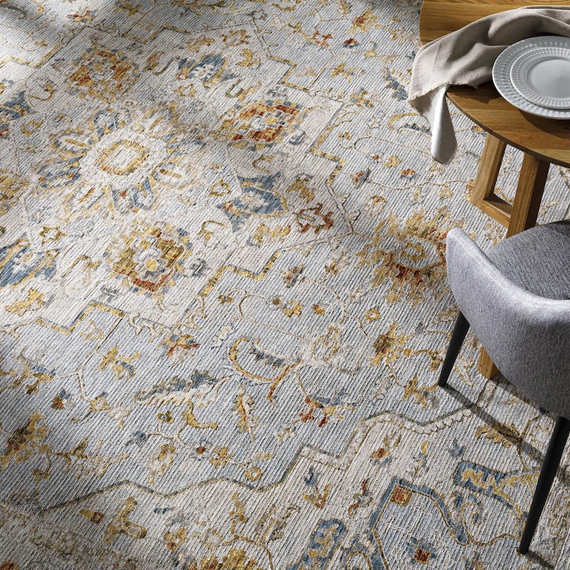 Tereza Updated Traditional Medallion Area Rug