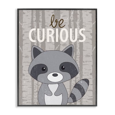 Stupell Be Curious Woodland Raccoon Framed Giclee Art Design By Kim Allen