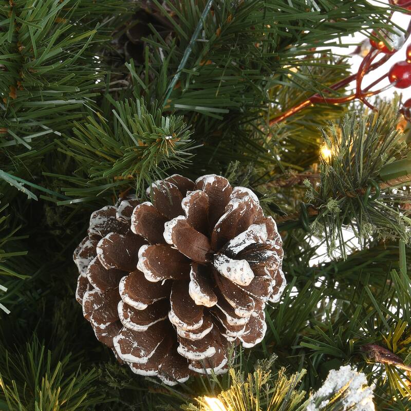 National Tree Company 3 ft. Potted Meadow Basin Tree with LED Lights - 3 Foot