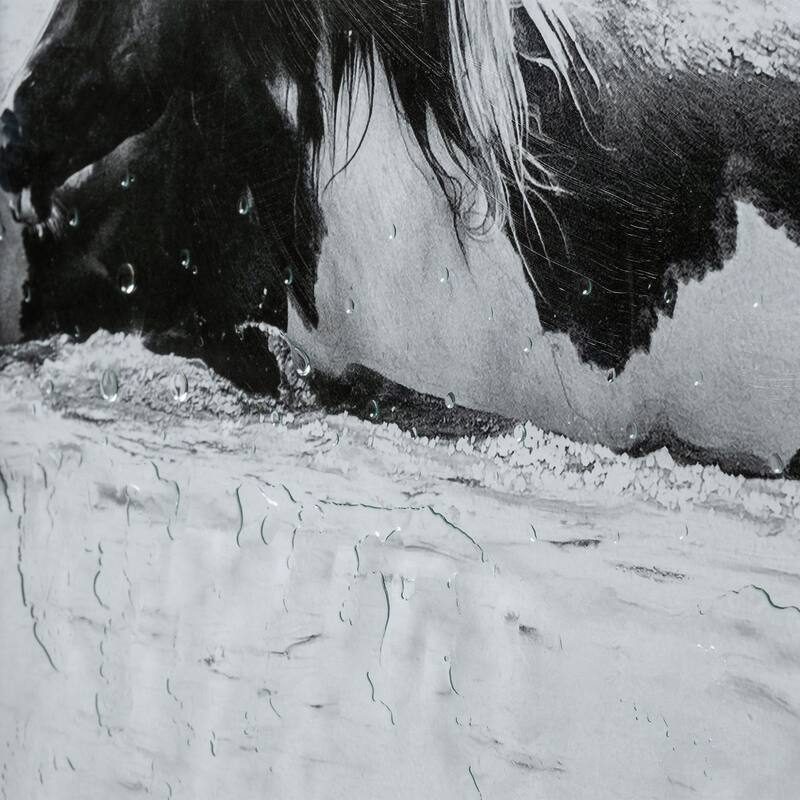 Water Horses III 43.0L x 1.6W x 63.0H (Set of 2) Framed Art Print