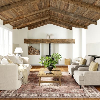 Lauren Liess x Rugs USA Barbary Distressed Machine Washable Area Rug